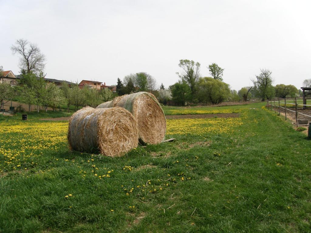 Vinny Sklep Kovarna Rohatec Extérieur photo